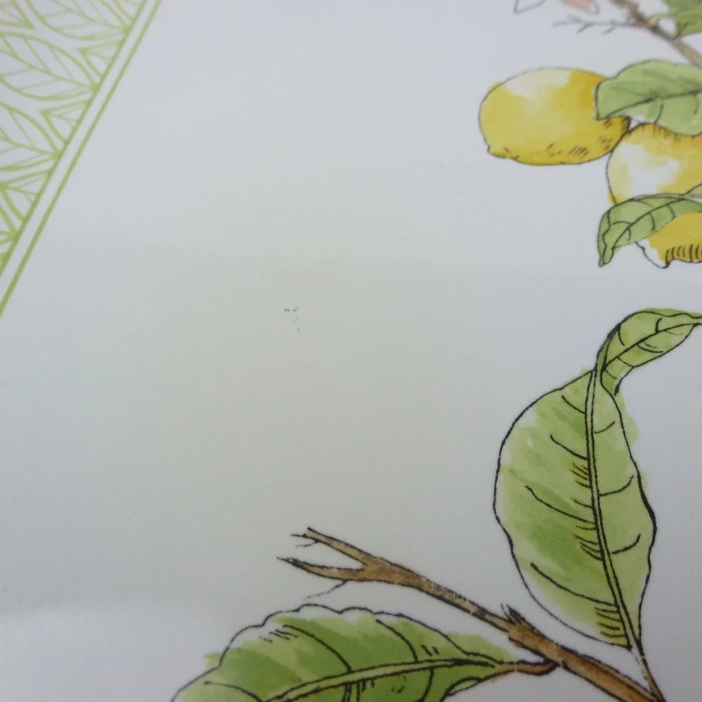 Williams Sonoma Citron Rectangle Platter Tray Lemon Botanical Made in Portugal‎